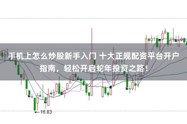 手机上怎么炒股新手入门 十大正规配资平台开户指南，轻松开启蛇年投资之路！