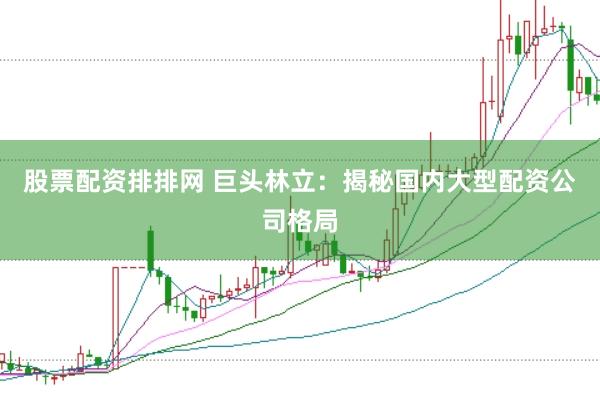 股票配资排排网 巨头林立：揭秘国内大型配资公司格局