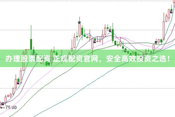 办理股票配资 正规配资官网，安全高效投资之选！