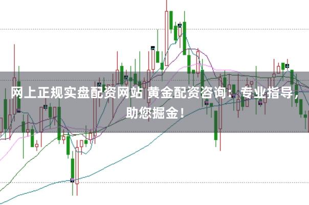网上正规实盘配资网站 黄金配资咨询：专业指导，助您掘金！