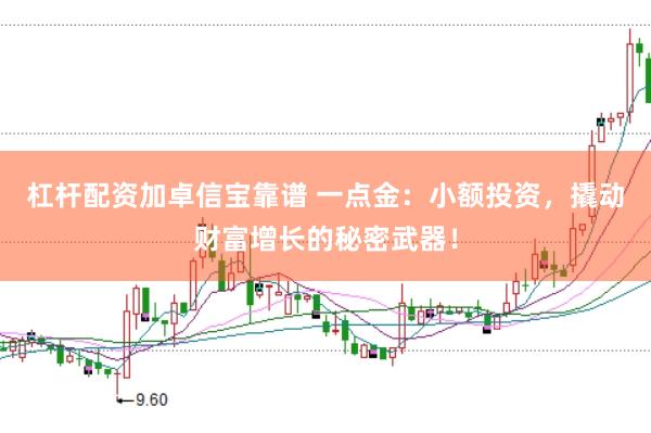 杠杆配资加卓信宝靠谱 一点金：小额投资，撬动财富增长的秘密武器！