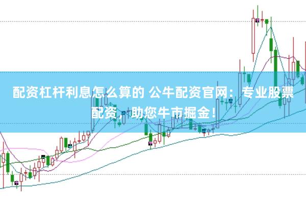 配资杠杆利息怎么算的 公牛配资官网：专业股票配资，助您牛市掘金！