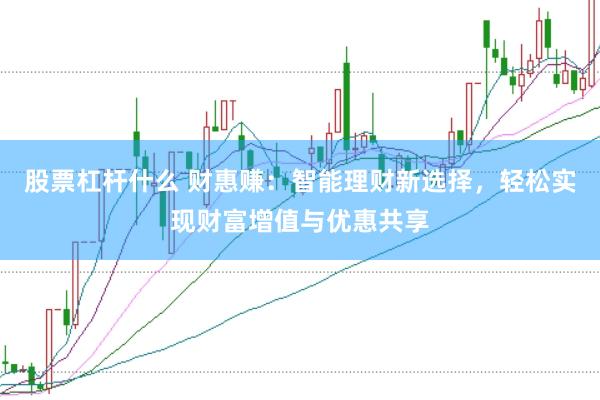股票杠杆什么 财惠赚：智能理财新选择，轻松实现财富增值与优惠共享