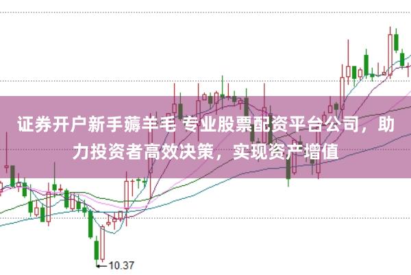 证券开户新手薅羊毛 专业股票配资平台公司，助力投资者高效决策，实现资产增值