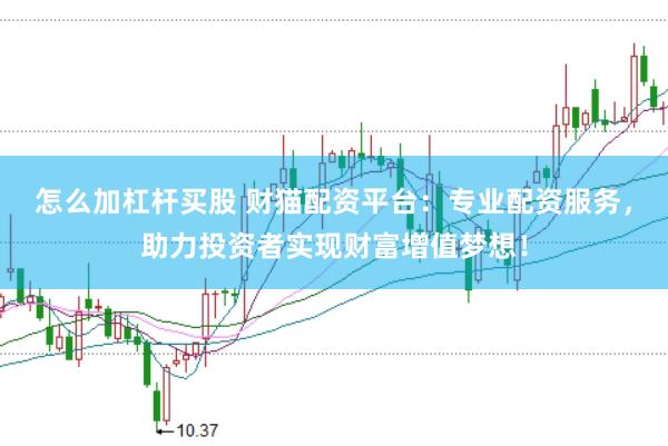 怎么加杠杆买股 财猫配资平台：专业配资服务，助力投资者实现财富增值梦想！