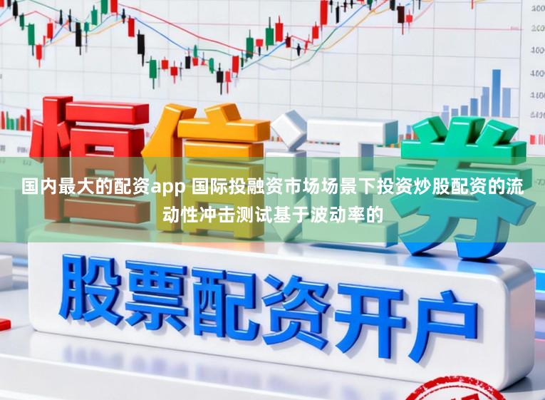 国内最大的配资app 国际投融资市场场景下投资炒股配资的流动性冲击测试基于波动率的