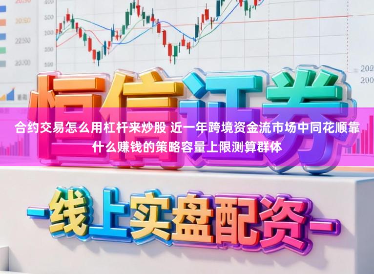 合约交易怎么用杠杆来炒股 近一年跨境资金流市场中同花顺靠什么赚钱的策略容量上限测算群体