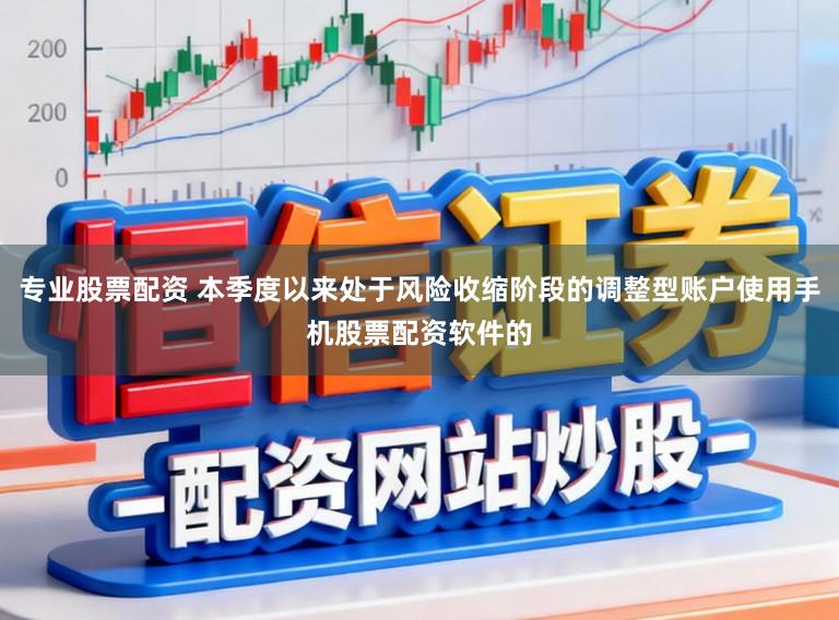 专业股票配资 本季度以来处于风险收缩阶段的调整型账户使用手机股票配资软件的